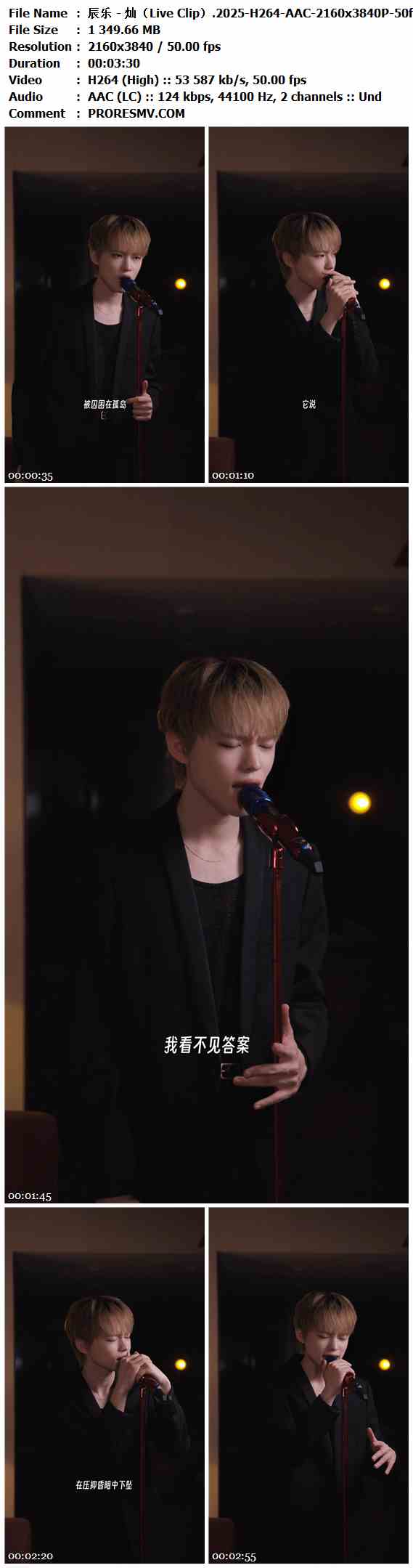 辰乐 - 灿（Live Clip）.2025-H264-AAC-2160x3840P-50fps-123kbs-1.32GB官方MV_高清MV